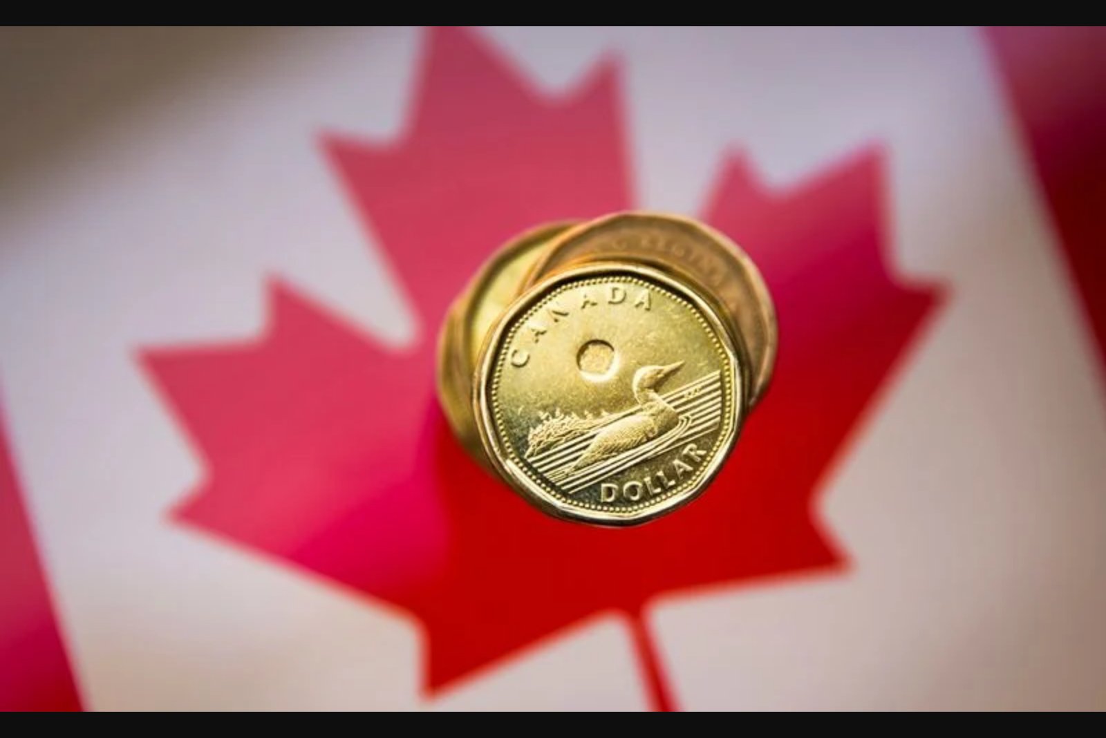 Loonie Seen Firming If Trade Talks Progress and Domestic Recovery Takes Hold