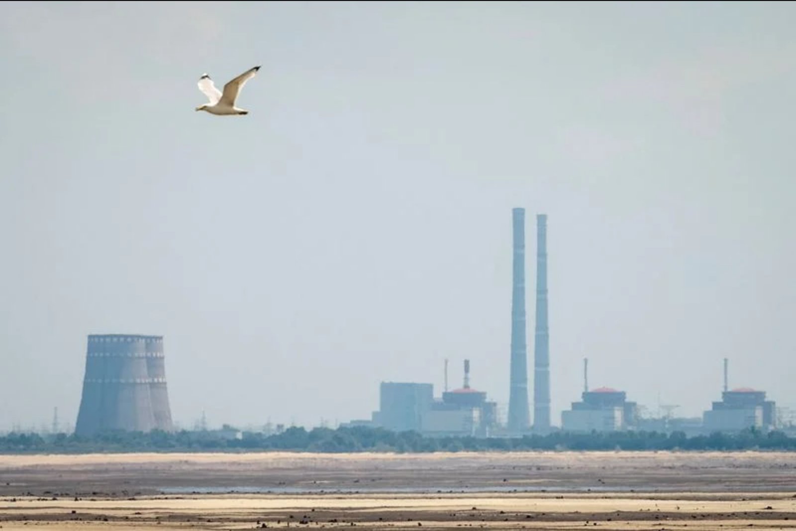 Rosatom says Ukrainian drone struck demining crew near Zaporizhzhia, injuring engineers