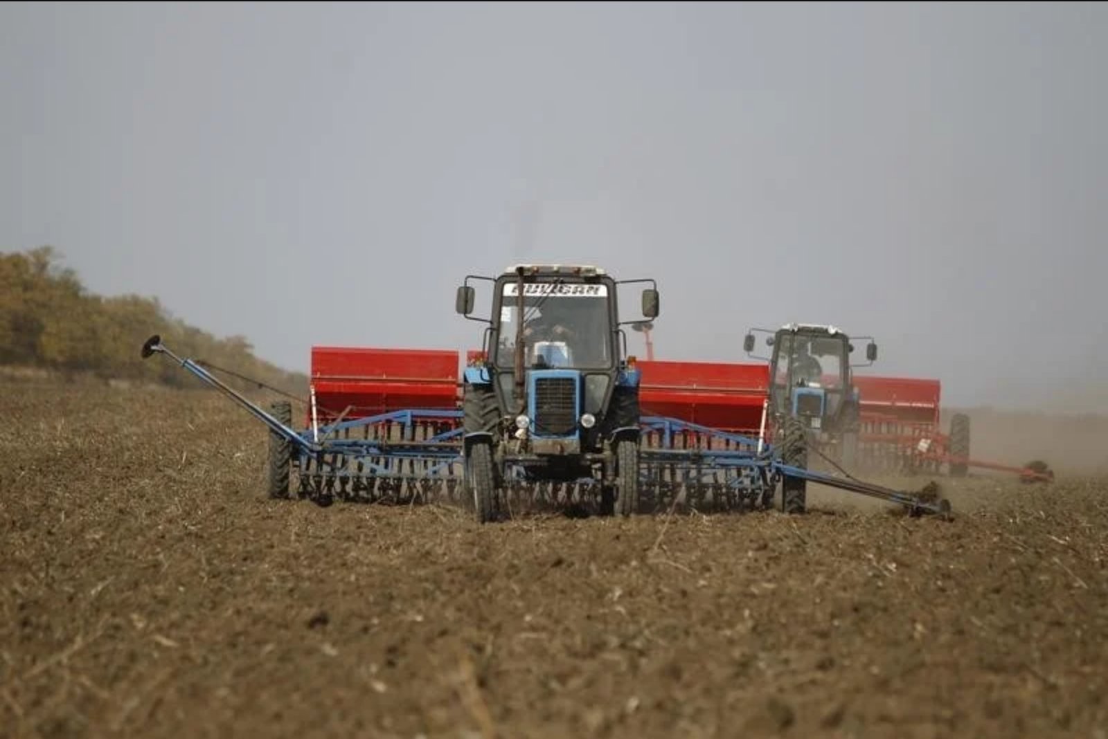 Euronext December Wheat Up as Black Sea Export Disruptions Redirect Demand
