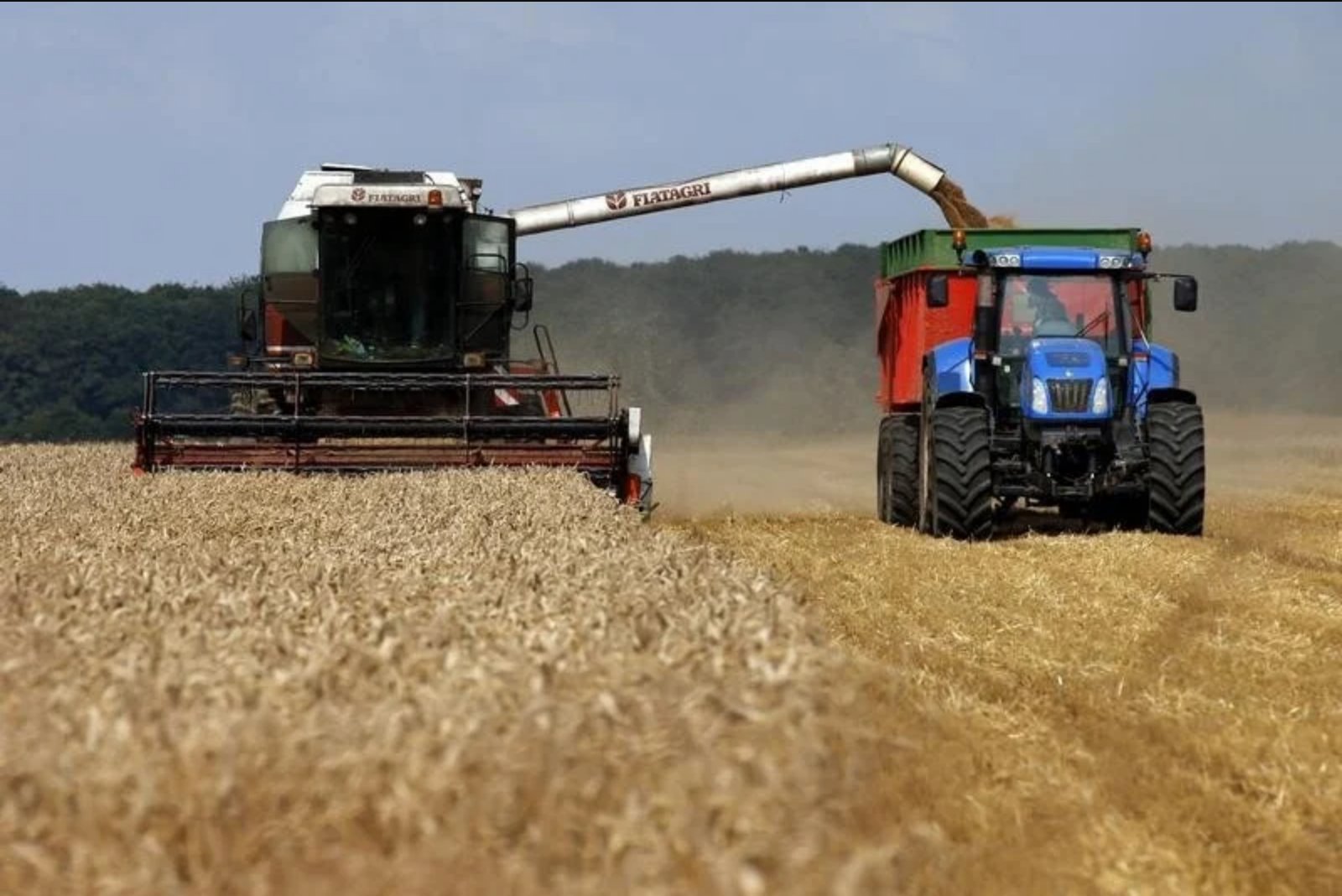 Morocco to Resume Soft Wheat Imports on September 16, Will Offer Temporary Subsidies