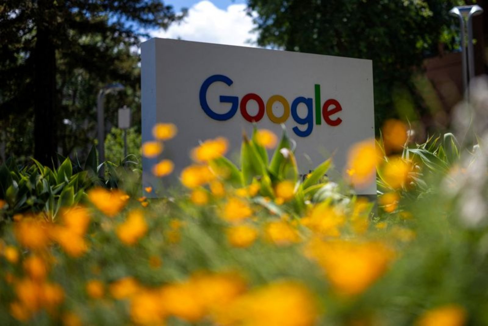 Google Appeals Washington Ruling That Found It Held Search Monopolies