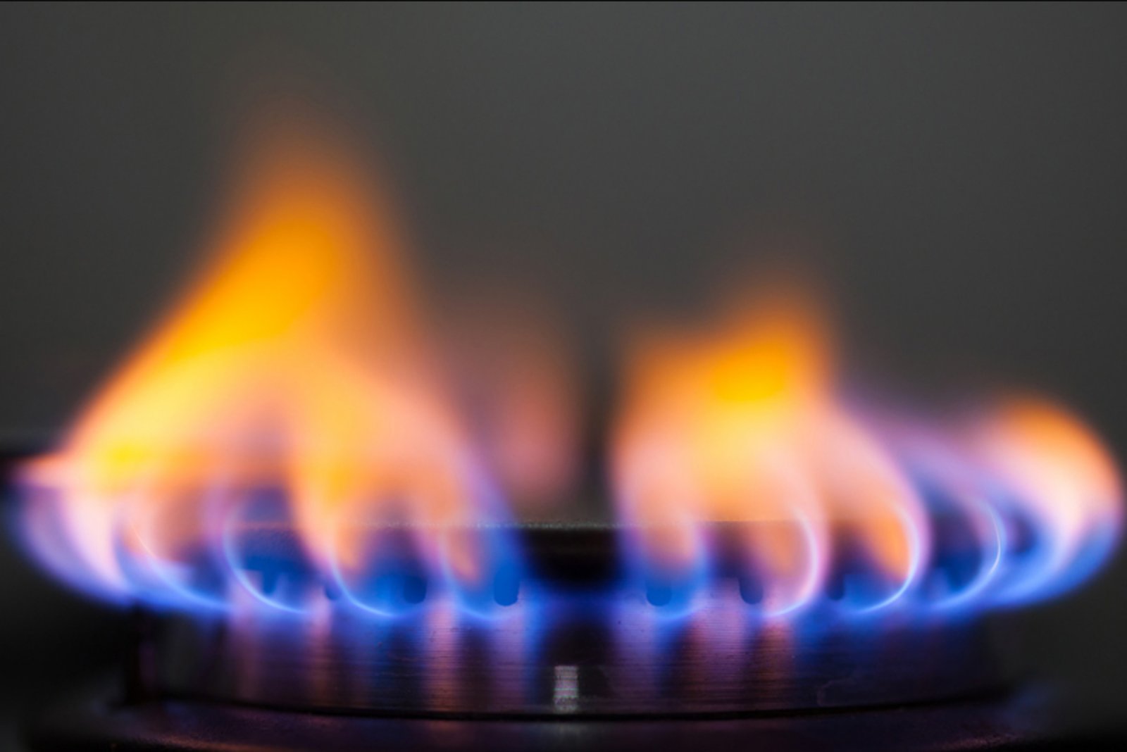 Federal Oil and Gas Lease Auction in New Mexico and Texas Draws $4 Billion in Bids