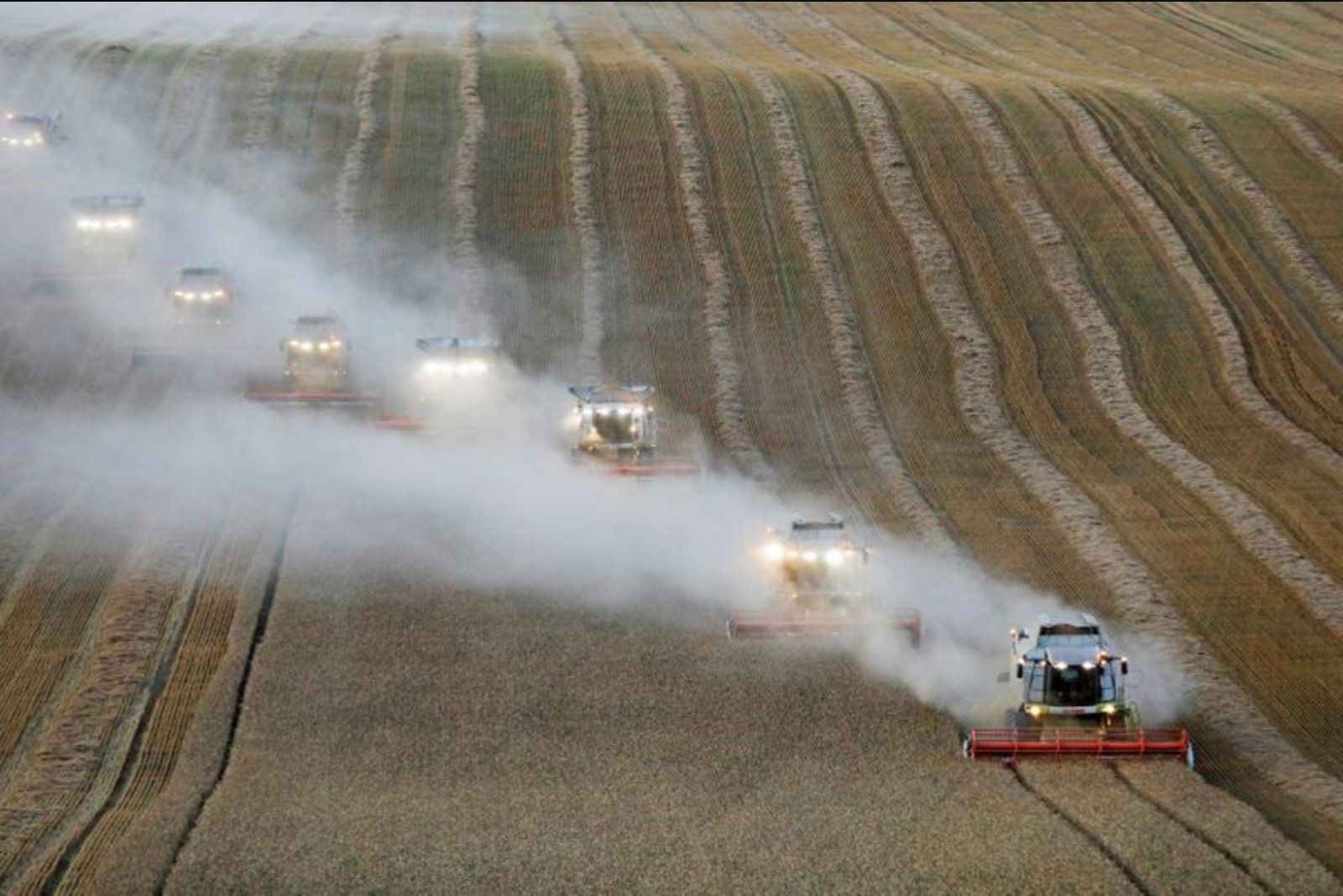 European Wheat Rises as Late-May Heat Raises Concerns for Western Crops