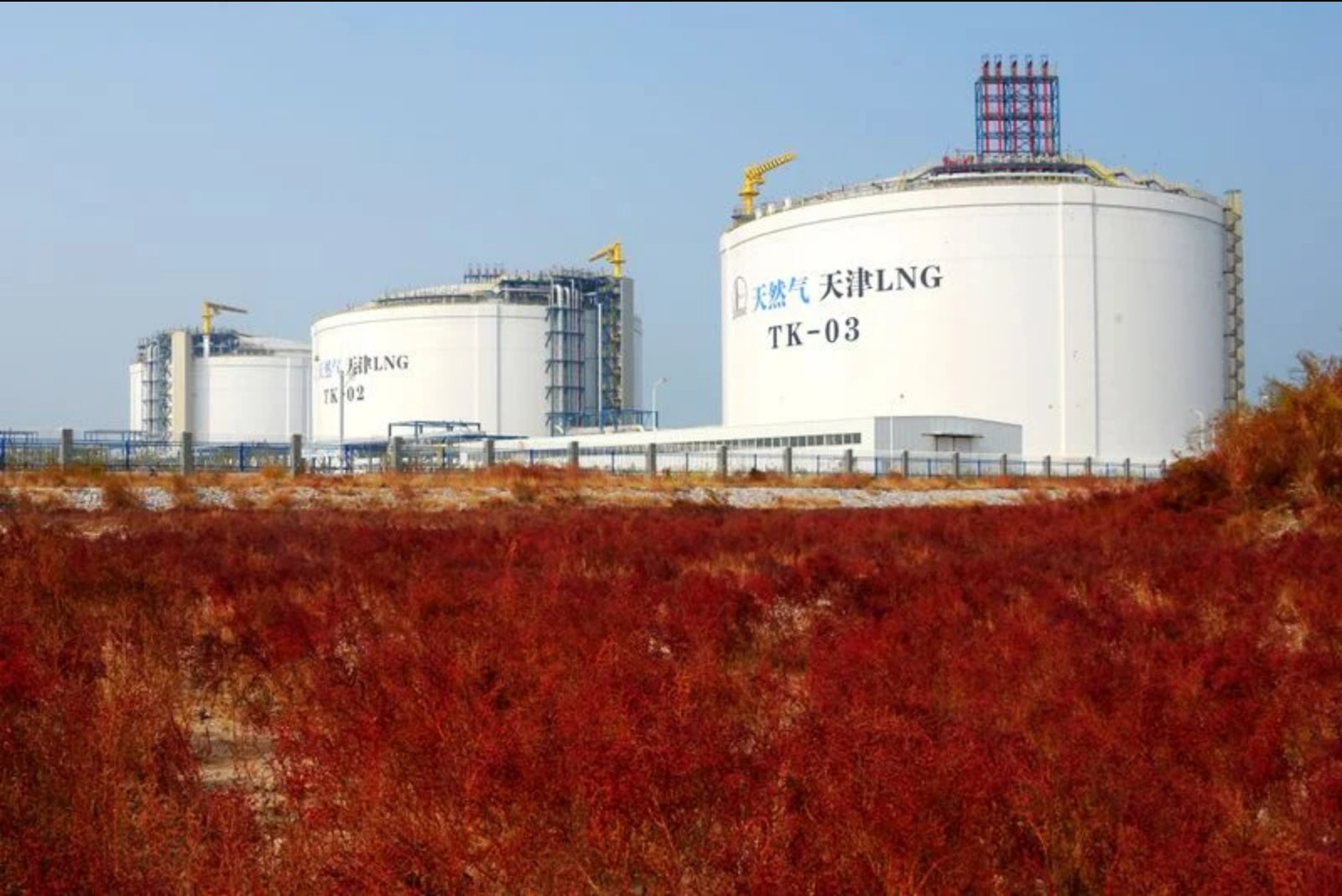 Finland Says It Will Not Buy Russian Gas While Moscow’s Military Operation Continues