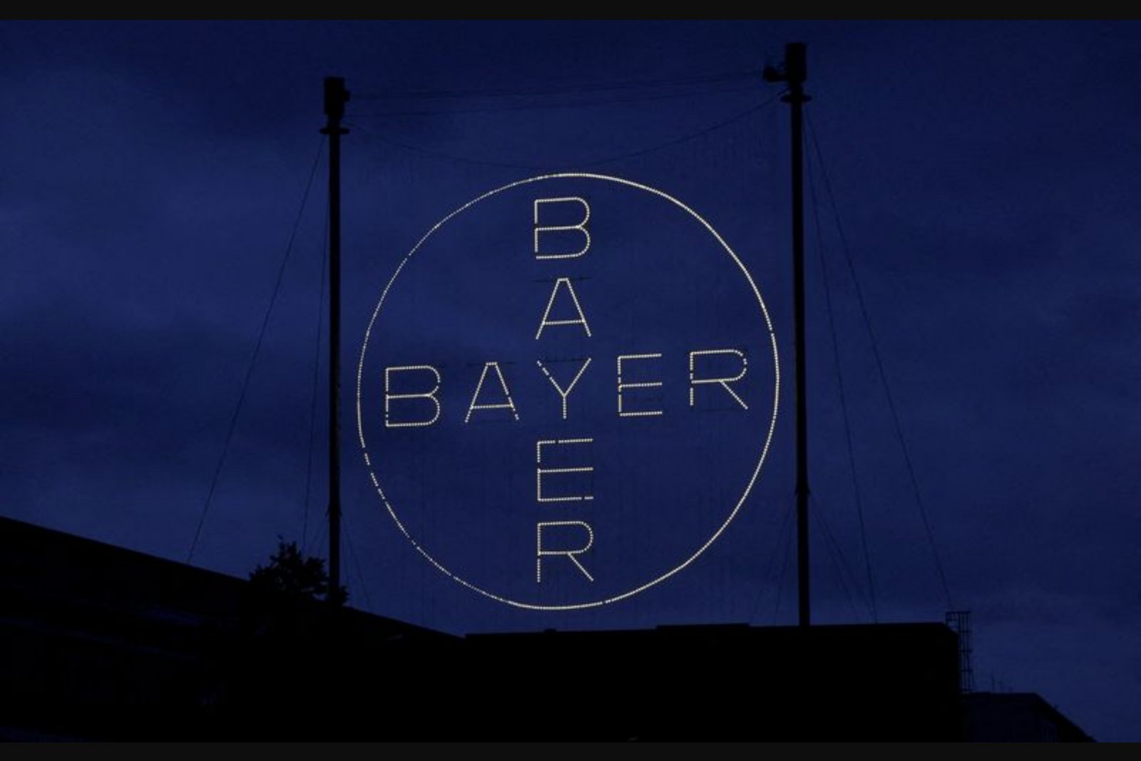 Family Seed Company Sues Bayer, Accuses It of Monopolizing U.S. GMO Corn Seed Market