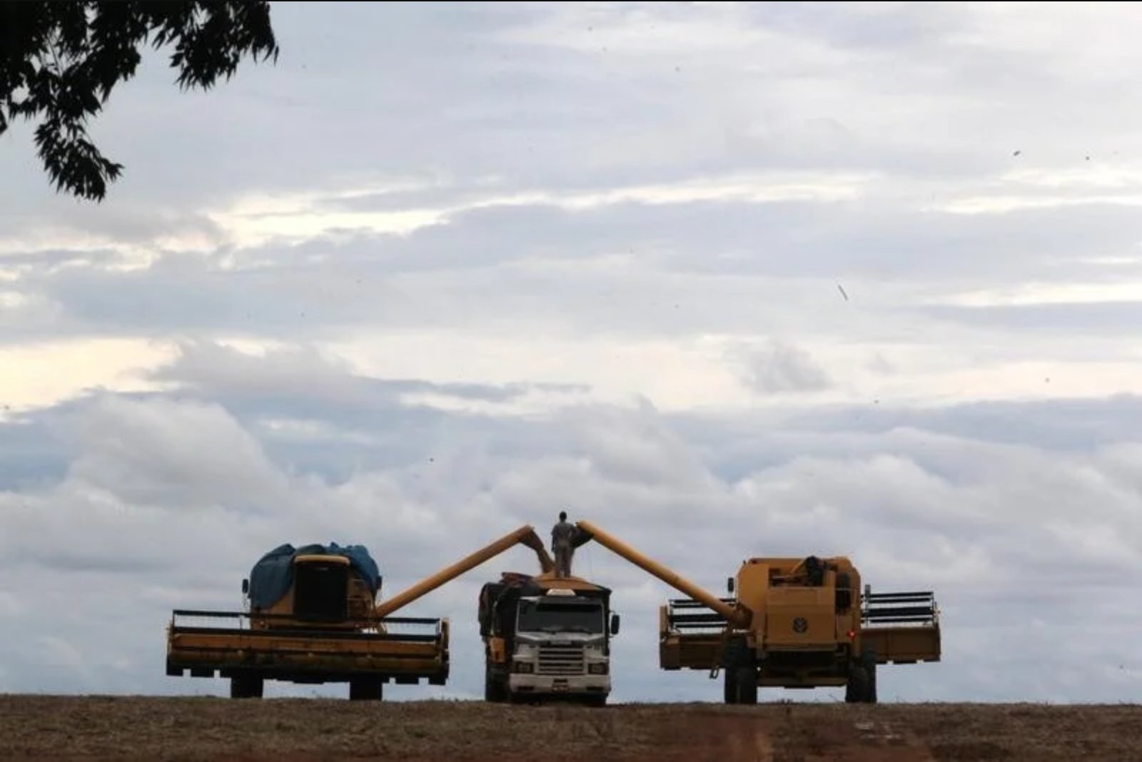 Soybean Prices Slip as Markets Await Outcome of Xi Visit to Washington