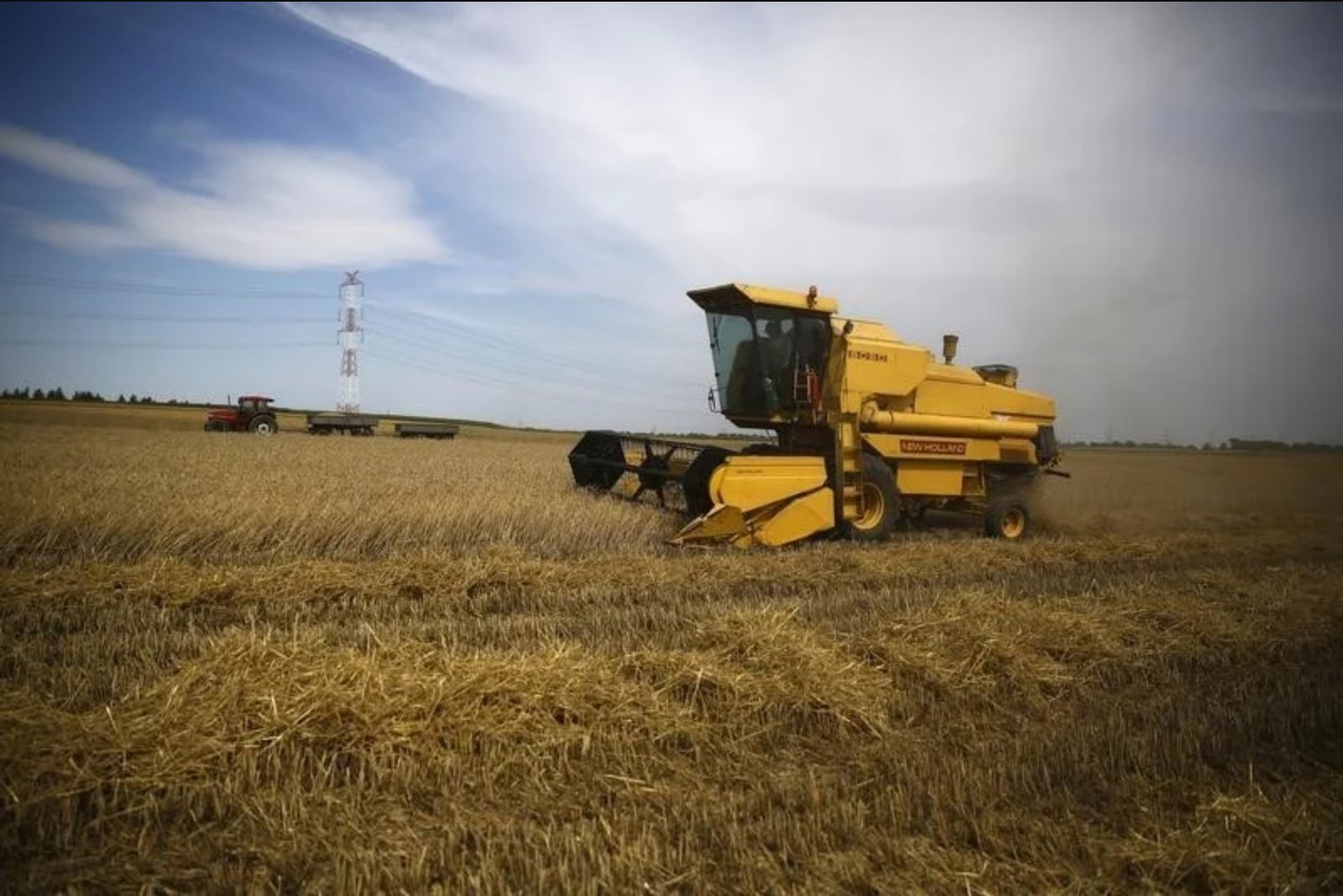 Wheat Futures Retreat as Peace-Talk Signals Temper Black Sea Risk