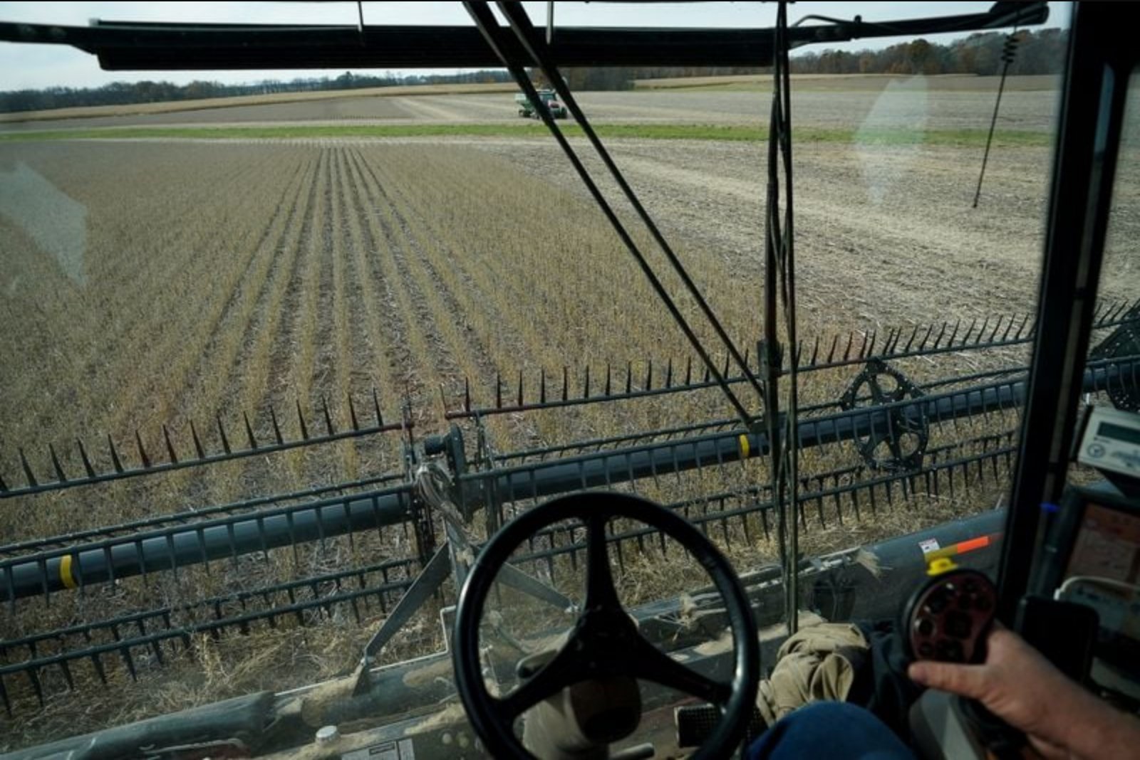 China’s Soft Feed Demand and Poor Crush Margins Weigh on US Soybean Prospects