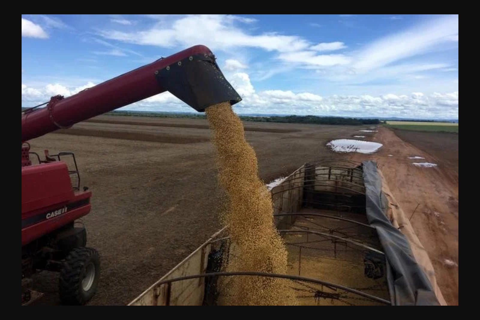Soybean Futures Slip Ahead of High-Stakes US-China Meeting