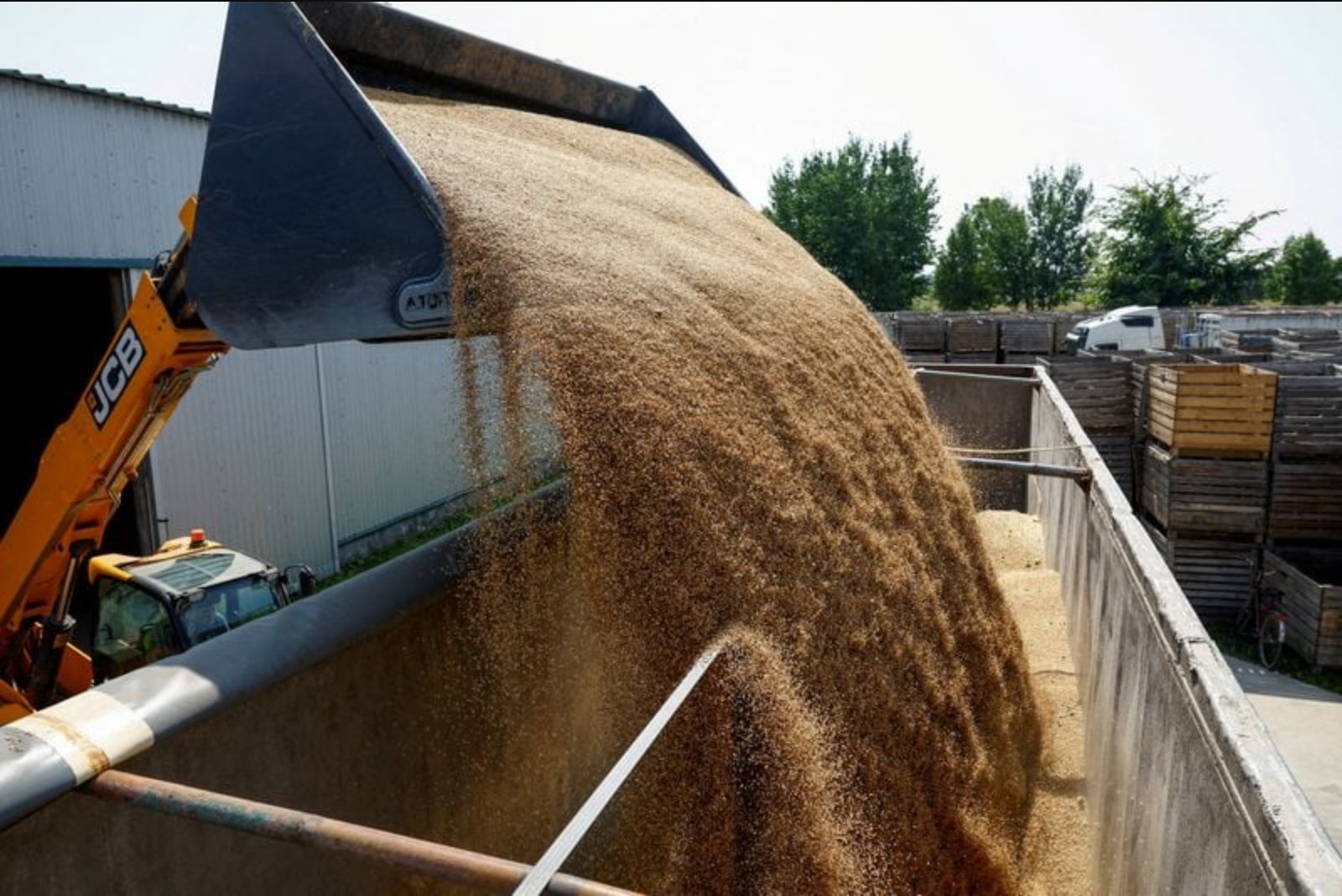 Global food prices climb to near four-year high in September, FAO reports