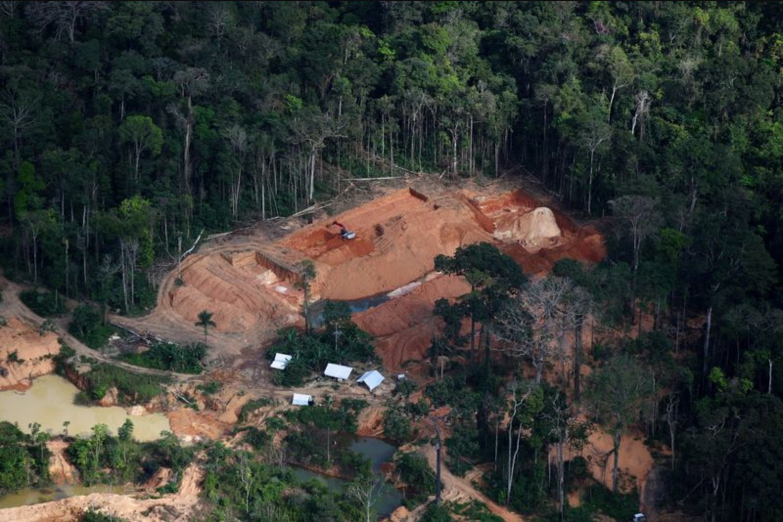 Greenpeace: Illegal Gold Extraction in the Amazon Continues Despite Government Crackdown