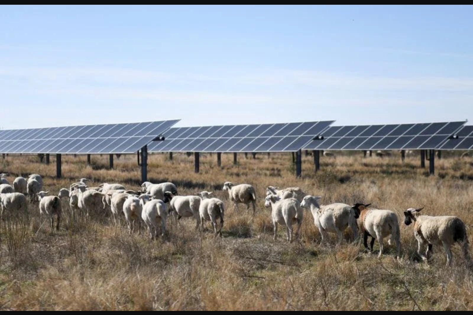 USDA rule changes tighten access to rural energy funds, imperil many farm renewable projects