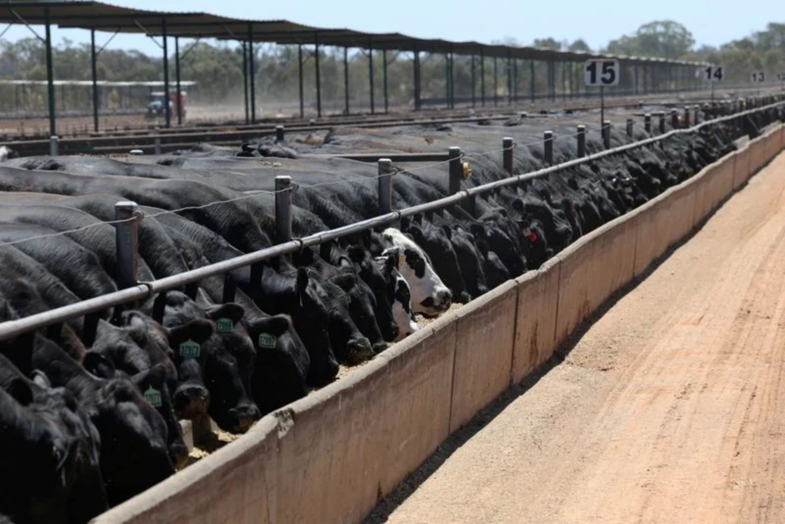 Australia, Brazil Near China Beef Quota Limits, Raising Uncertainty for Second Half of 2026