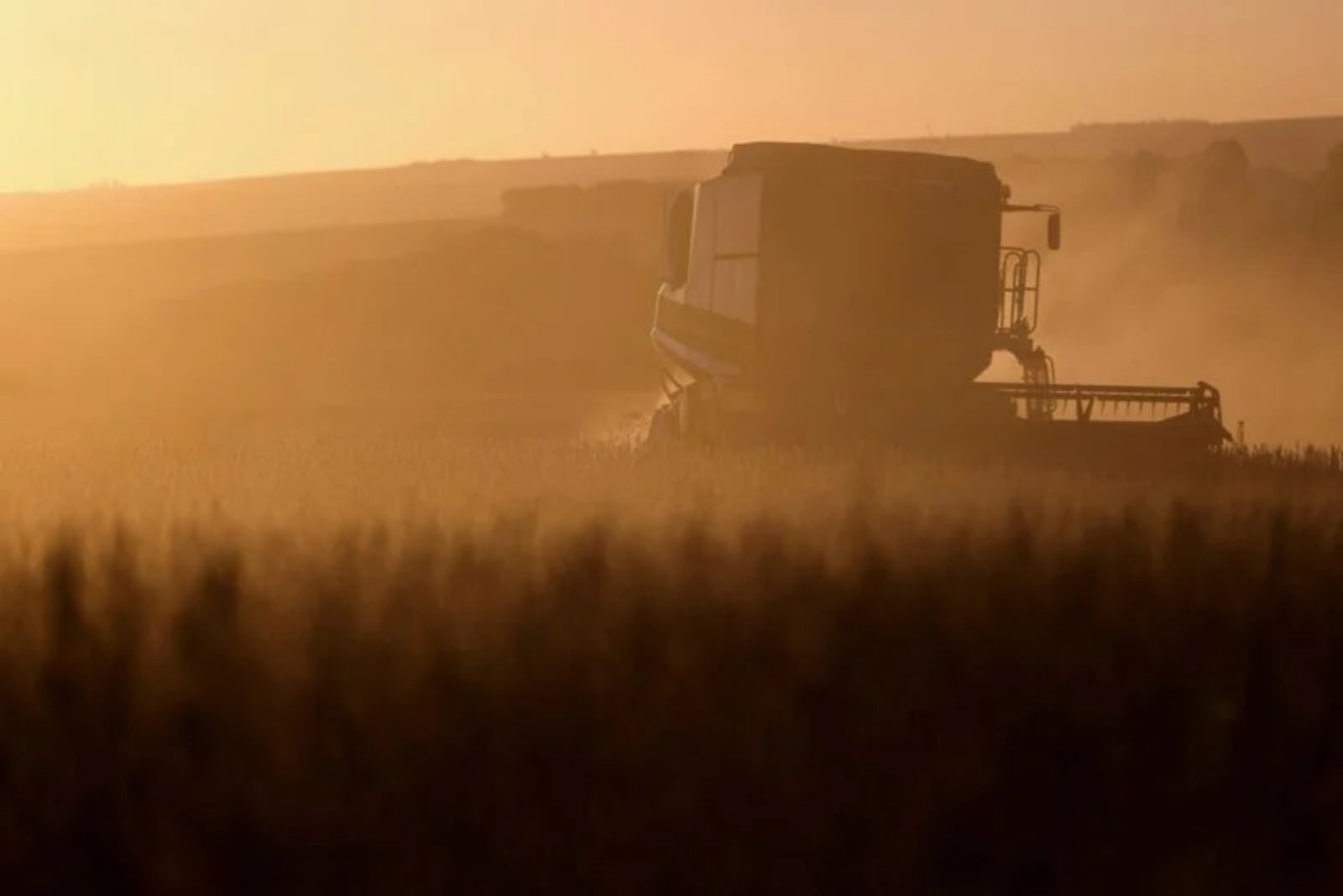 Brazil Sees Surge in Farm Seizures as Rural Debt and Climate Shocks Mount