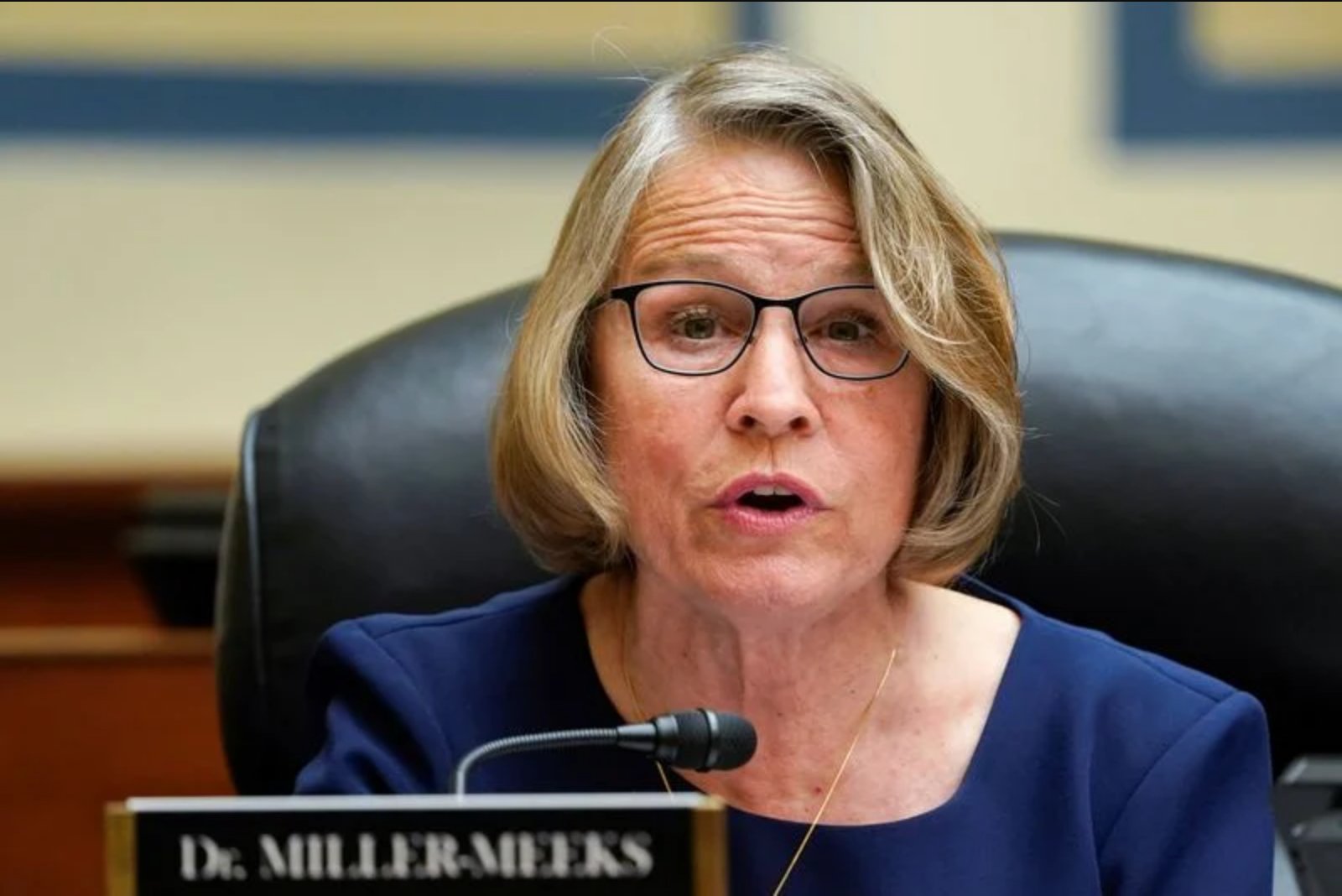 Incumbent Miller-Meeks Wins GOP Nomination in Iowa 1st District; Bohannan to Face Her Again
