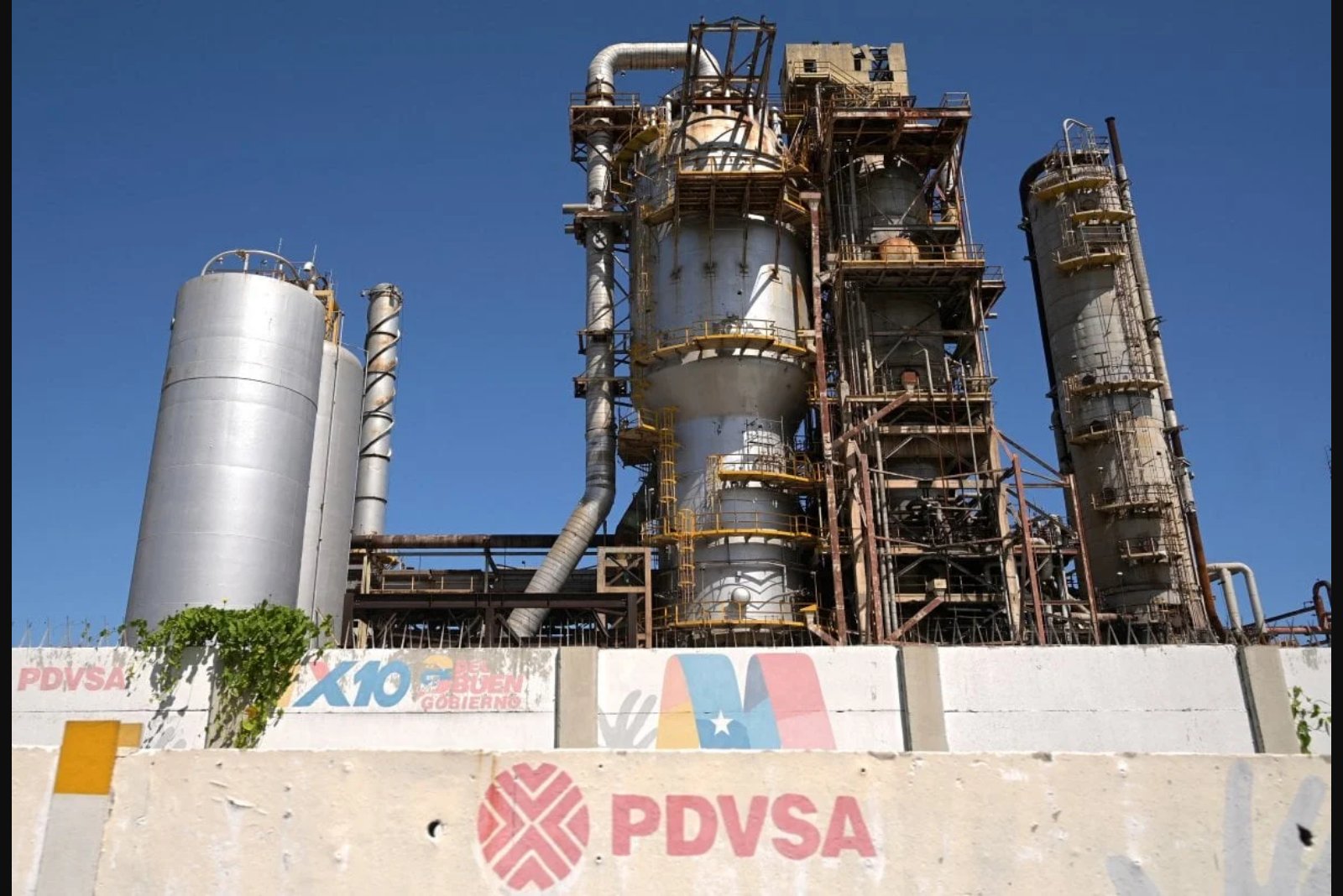 U.S. Suspends Avocado Export Inspections in Michoacan Following Security Alert