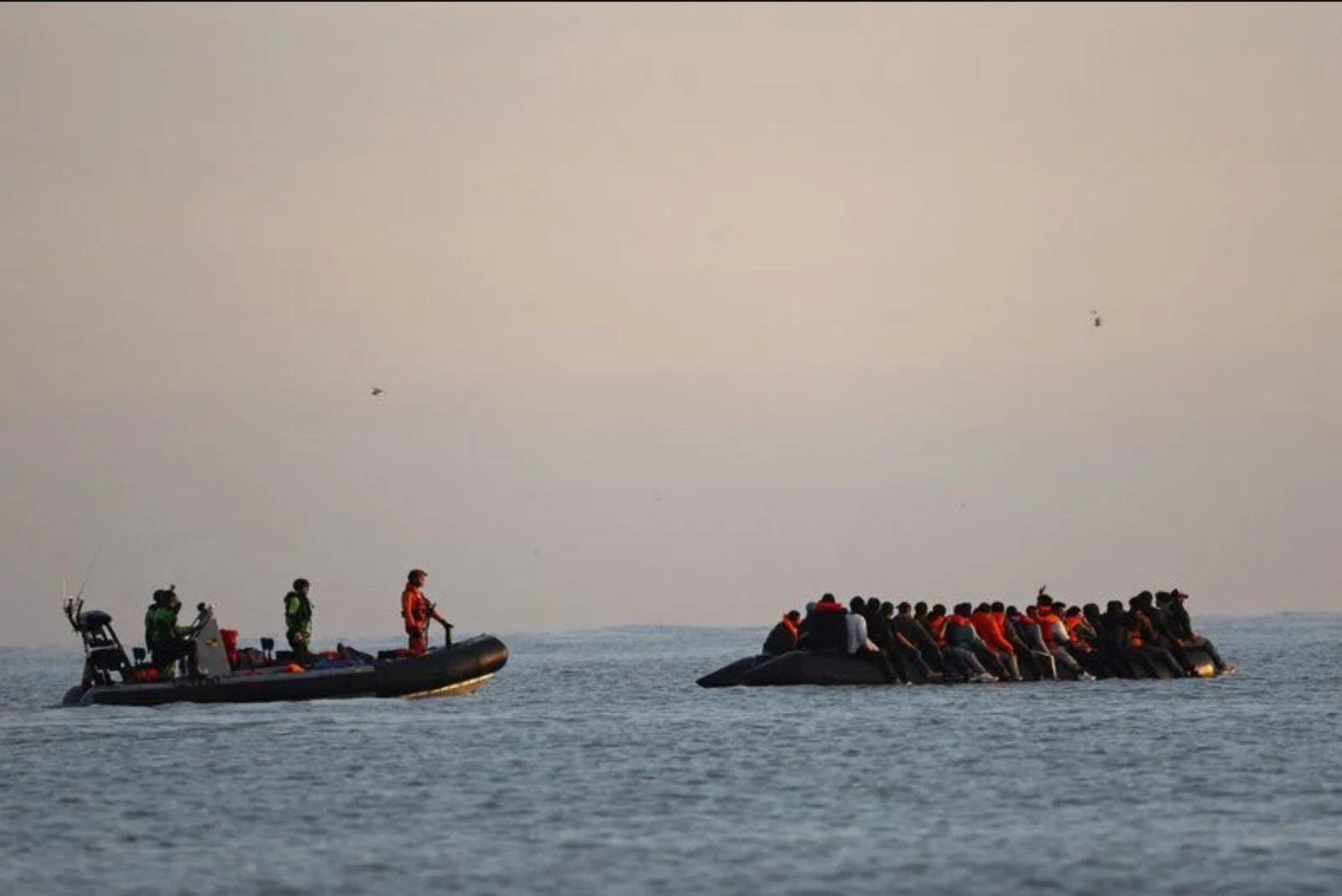 EU-wide migration overhaul takes effect amid uneven preparedness and rights concerns