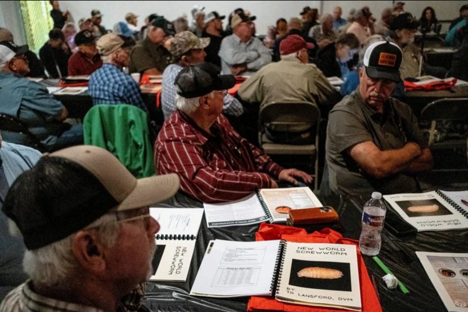 South Texas Ranchers Clash with USDA as Screwworm Reappears