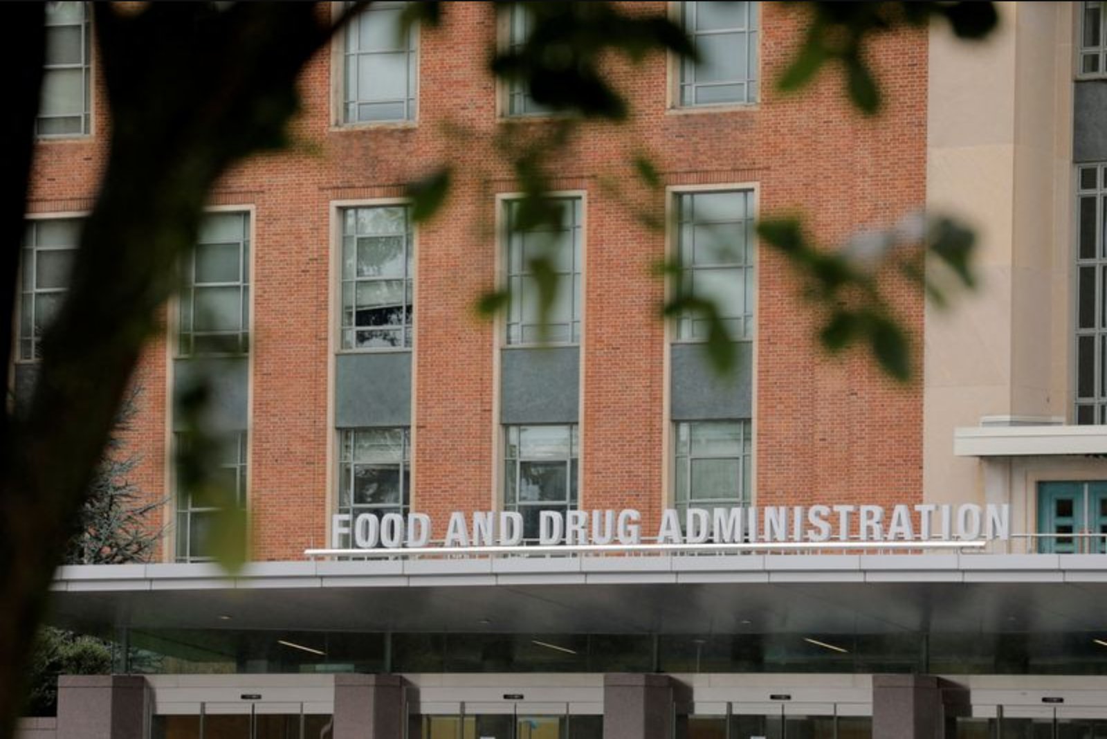 FDA Clears First Fruit-Flavored Vapes, Citing Access Controls and Political Pressure
