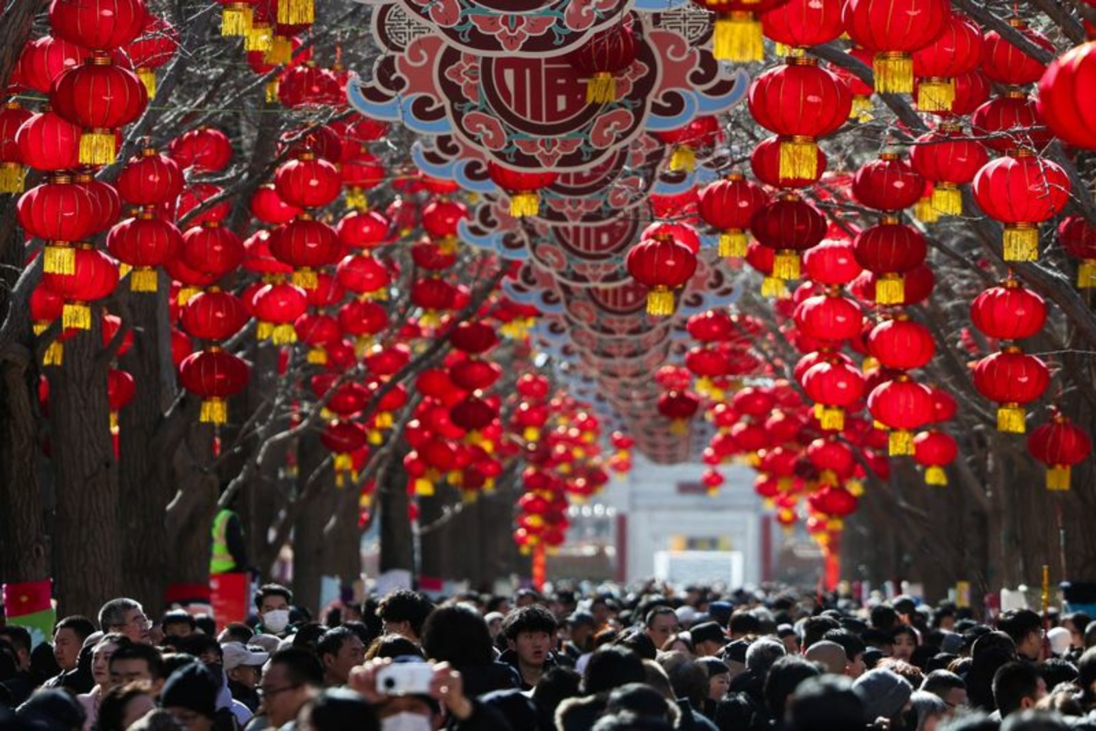 Extended Lunar New Year Holiday Spurs Surge in Domestic Travel and Spending