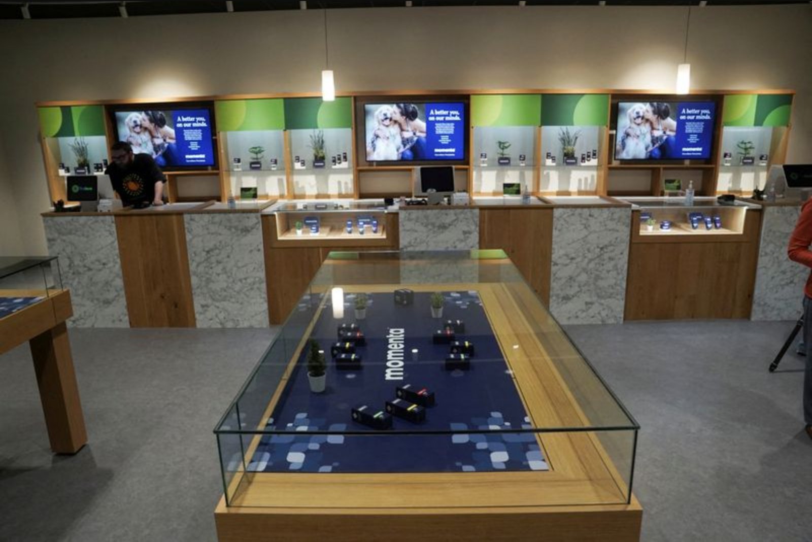 U.S. Rescheduling Spurs Funding and IPO Interest for Companies Developing Cannabis Medicines