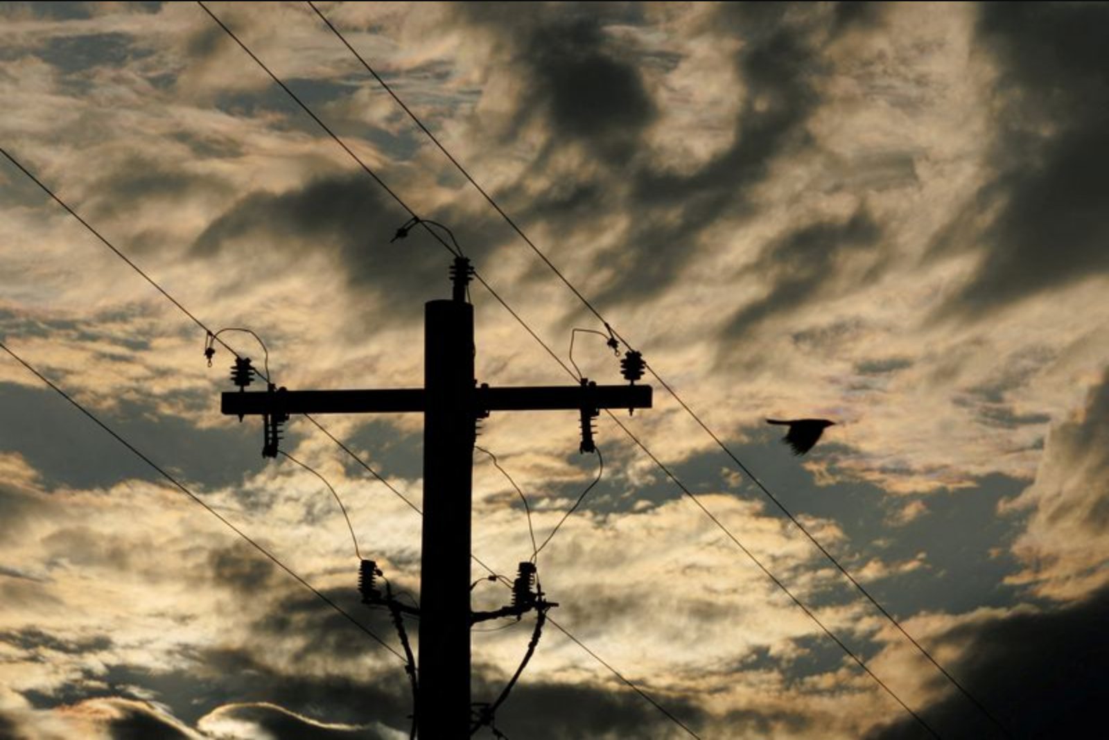 Demand on PJM Grid Nears Winter Peak as Arctic Cold Persists