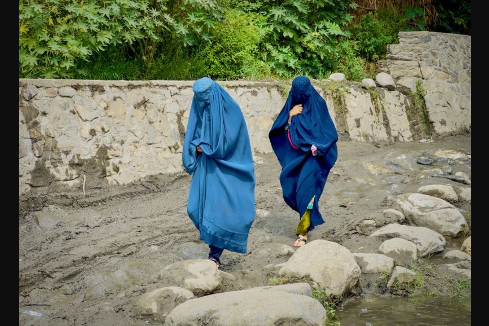 U.S. Urges Review of International Aid to Afghanistan as Taliban Restrictions Persist