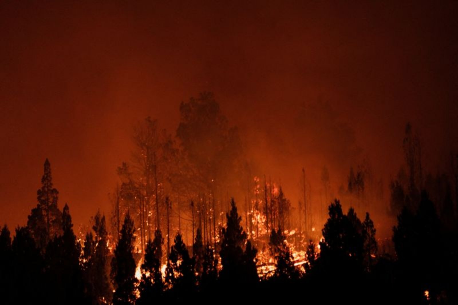 Southern Hemisphere Begins 2026 with Unprecedented Heat and Rampant Wildfires