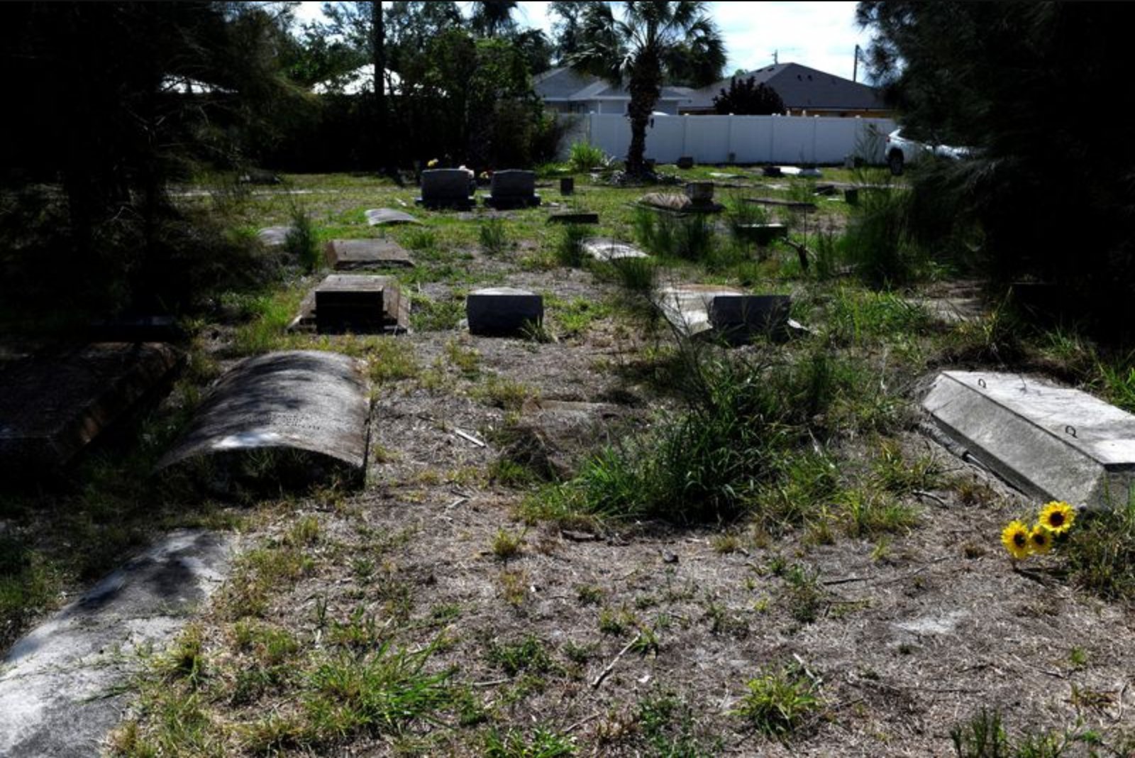 Historic Black Cemetery in Palmetto Damaged; Graves Defaced with Political Graffiti