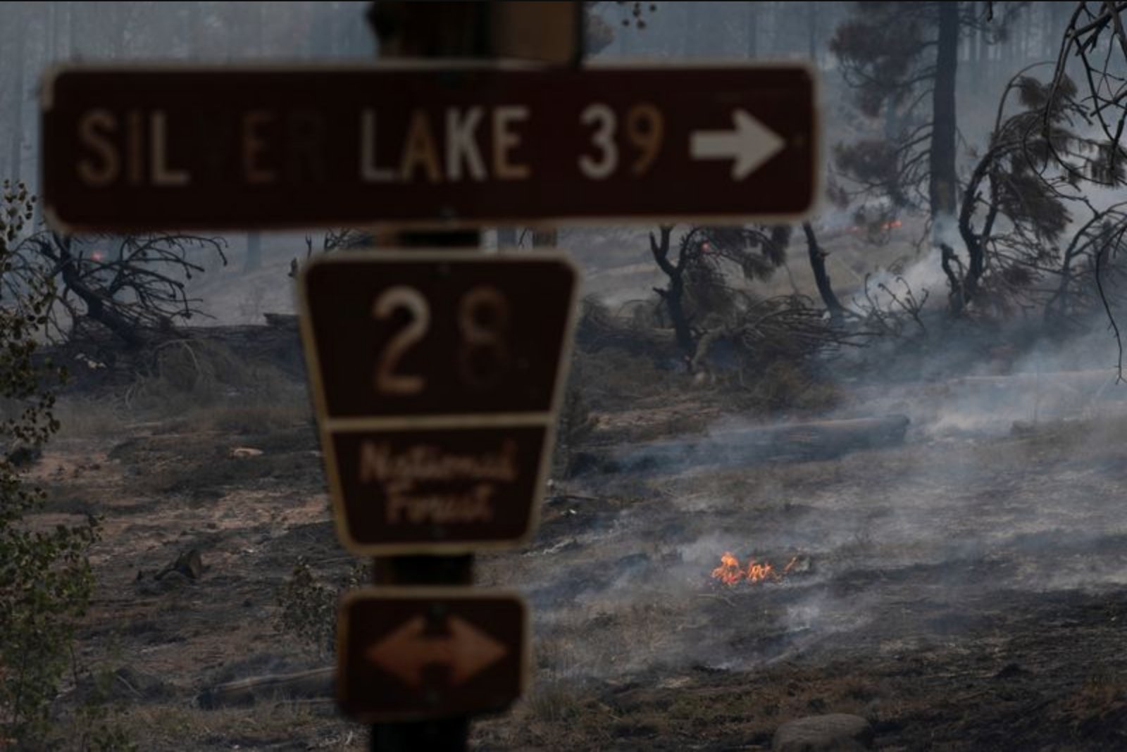 Oregon Appeals Court Rules Against Class-Action Status in 2020 Wildfire Suits Targeting PacifiCorp