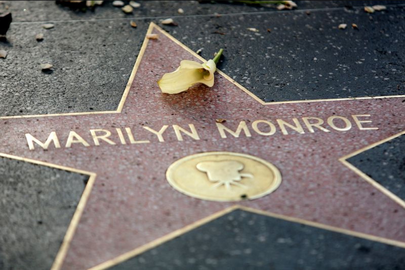 Private Papers and Personal Objects From Marilyn Monroe’s Circle Set for Auction