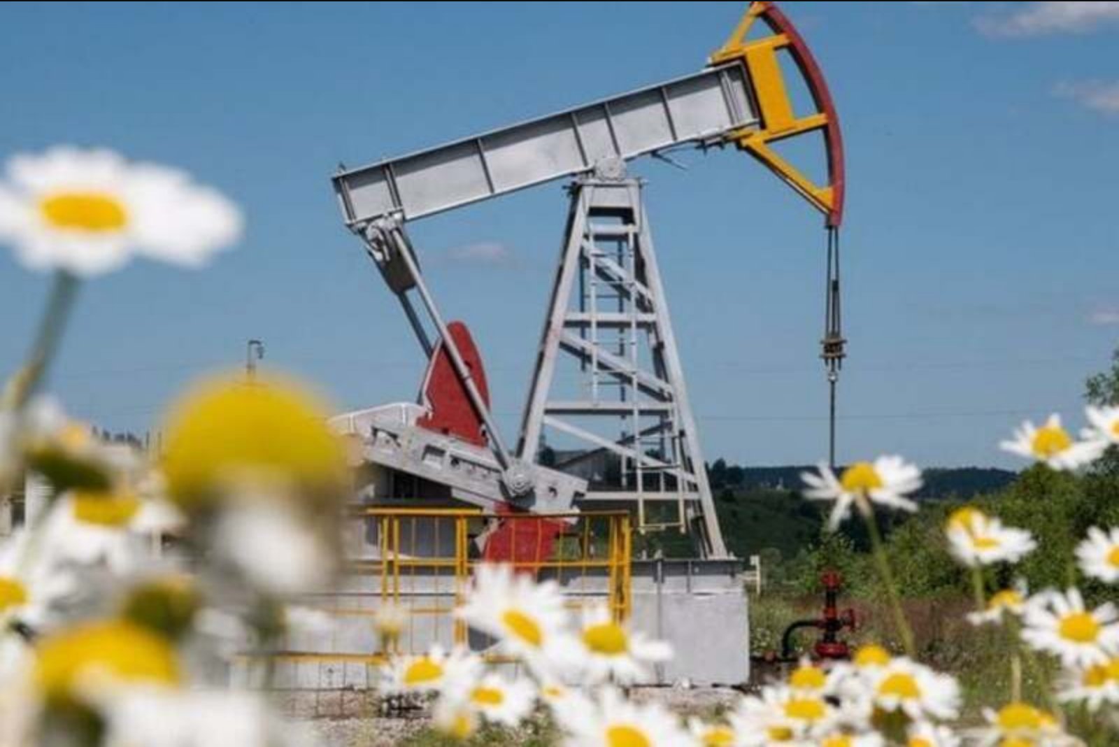 Canola Prices Slip as Oil and Vegetable Oils Weaken on Geopolitical Calm