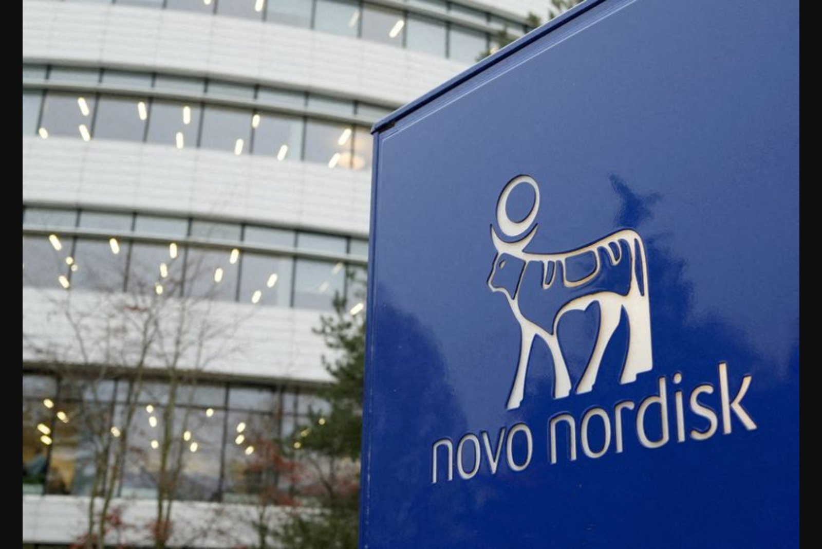 Novo Nordisk Stock Recovers After FDA Pledge to Target Unapproved Drug Mass-Marketing