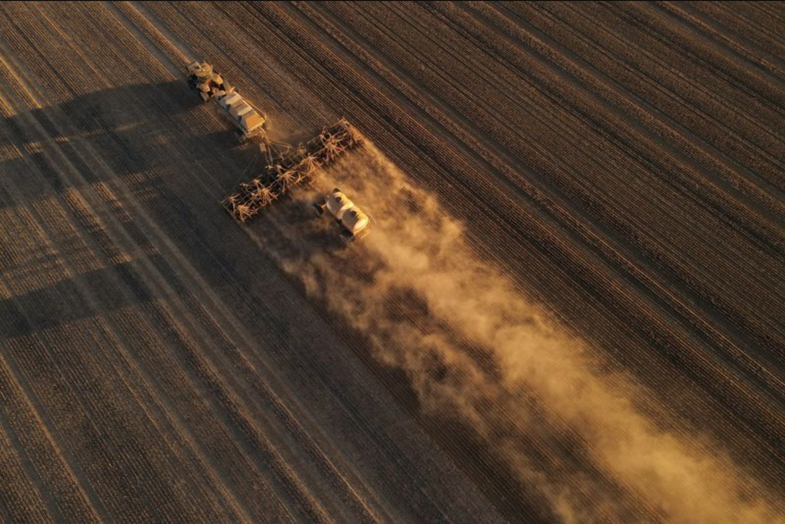 Australian farmers pivot to lower-fertiliser crops as Iran war drives input costs higher