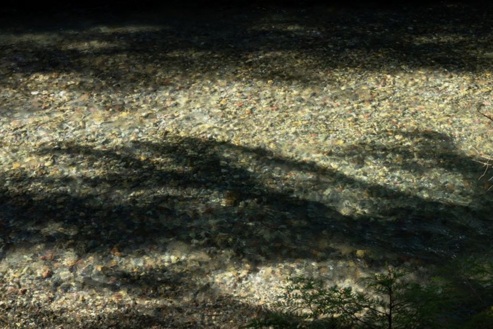 U.S. Park Service Ordered to Remove Interpretive Signs on Native American Removal and Climate Topics