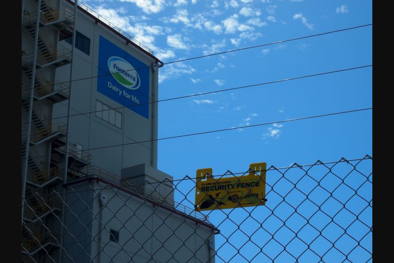 Fonterra Acknowledges 'Grass-Fed' Claim Could Mislead Shoppers, Settles Greenpeace Suit