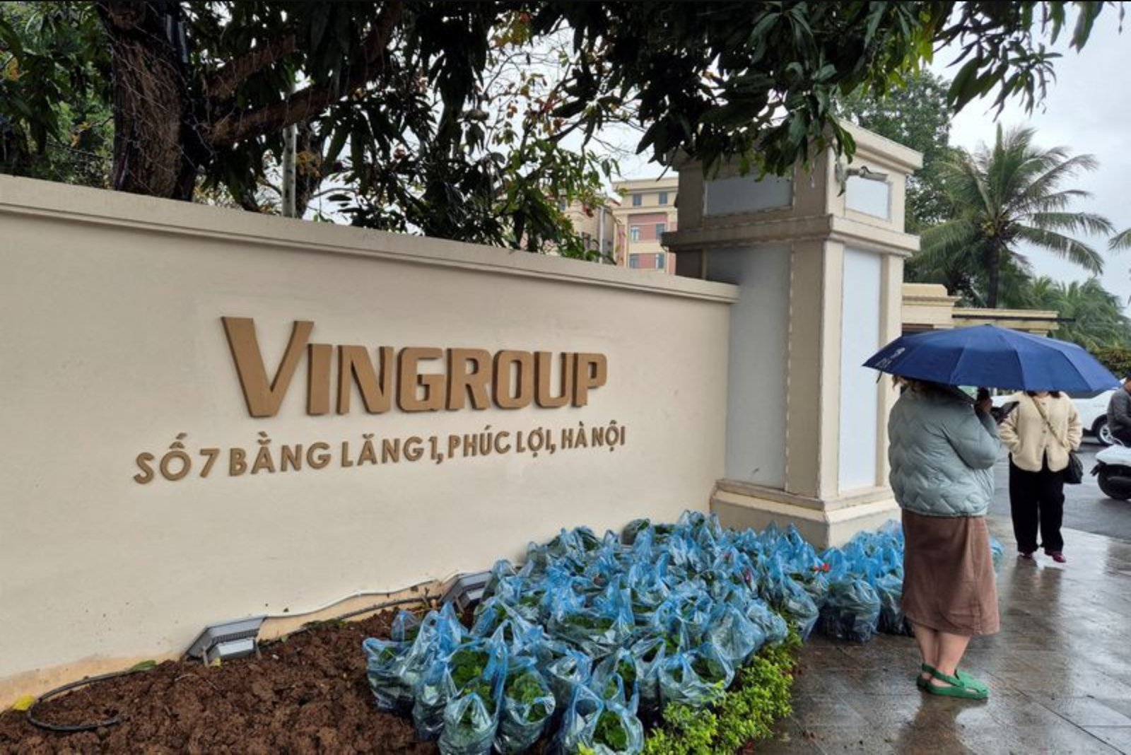 Vingroup Asks Vietnam to Replace Planned 4.8 GW LNG Plant with Renewable-BESS Project, Document Shows