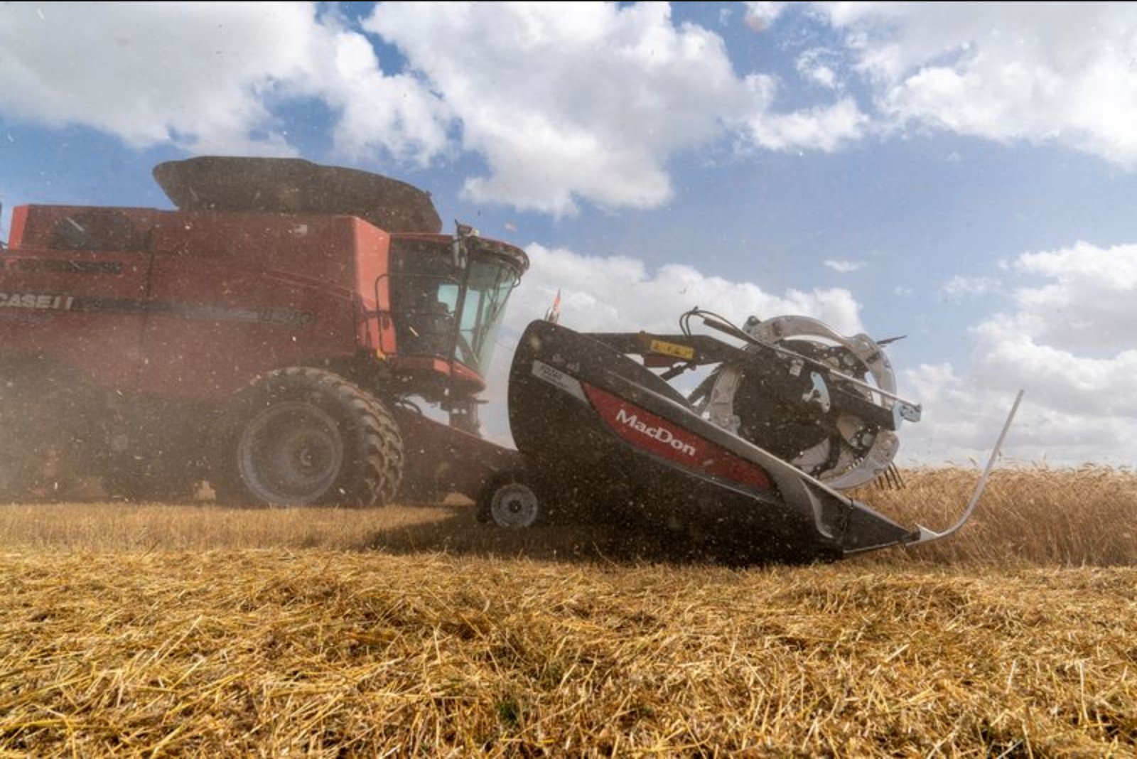 Chicago Grain Futures Retreat After Oil Pullback