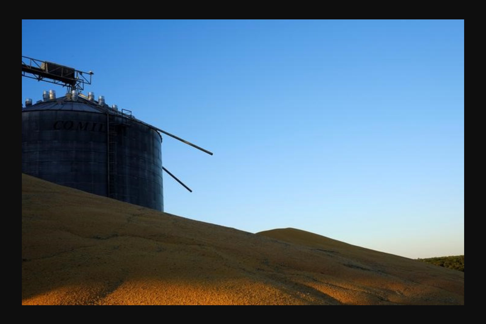 Corn Futures Climb to Yearly Peak on Export Demand and Weather Concerns