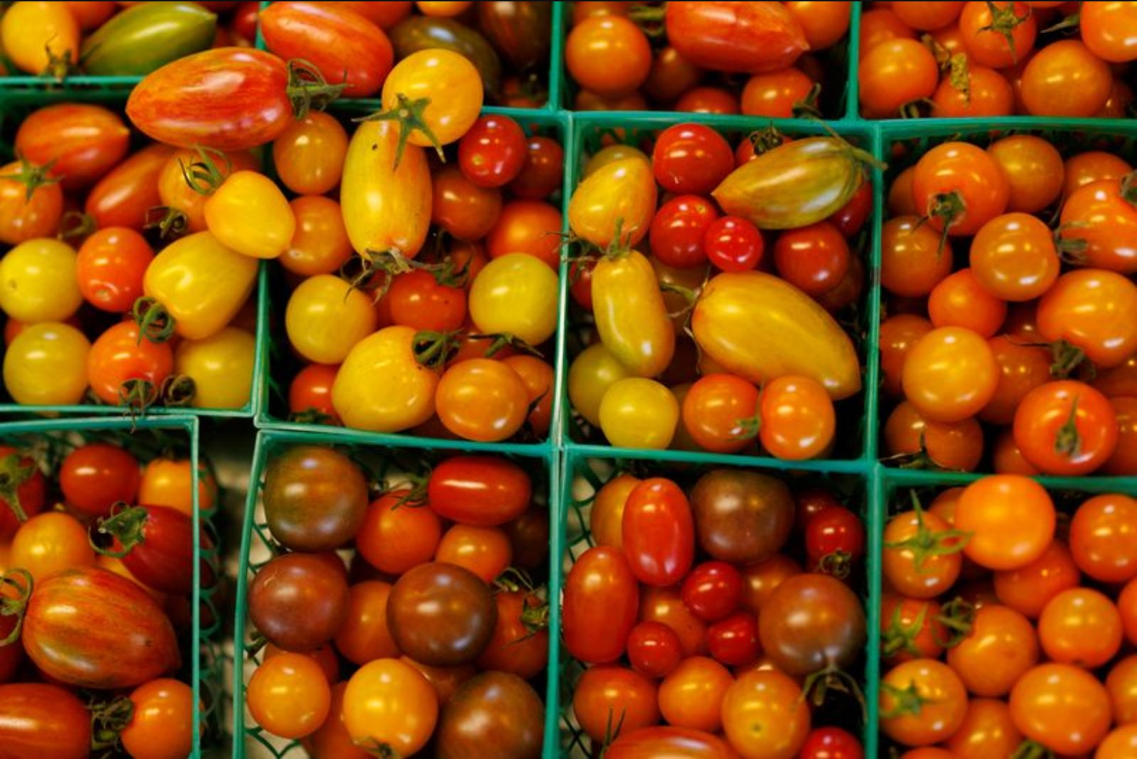 U.S. Producer Prices Register Biggest Monthly Rise Since Early 2022 in April