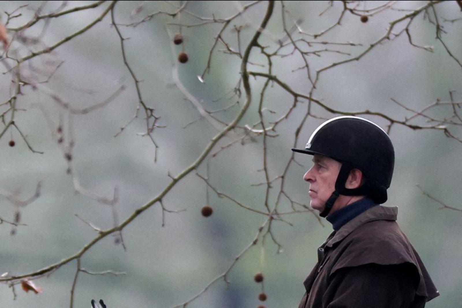 Documents Show Prince Andrew Shared Sensitive Government Papers with Jeffrey Epstein, Files Reveal