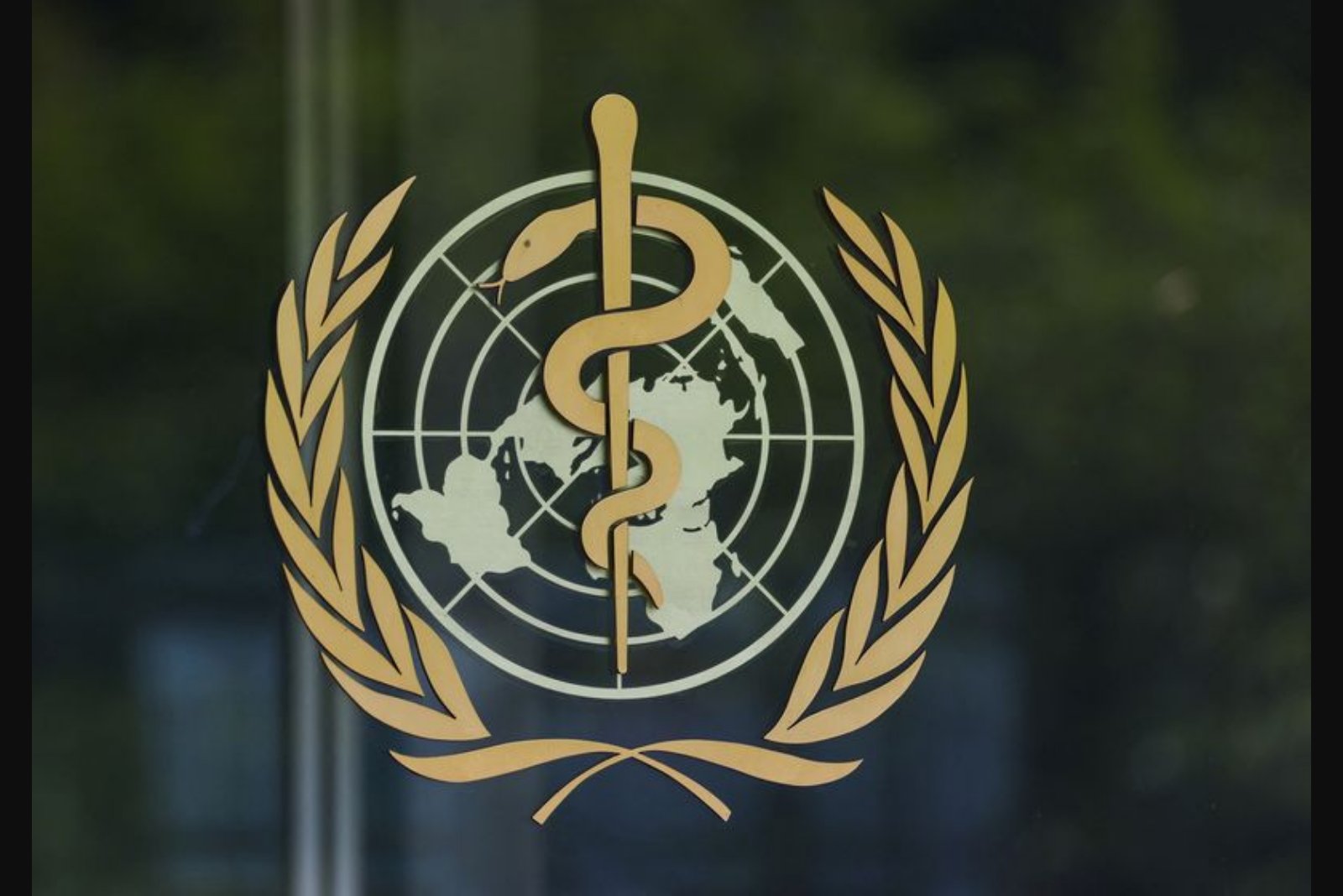 WHO Member States Prolong Negotiations on Pathogen-Sharing Rules, Delaying Pandemic Pact Implementation