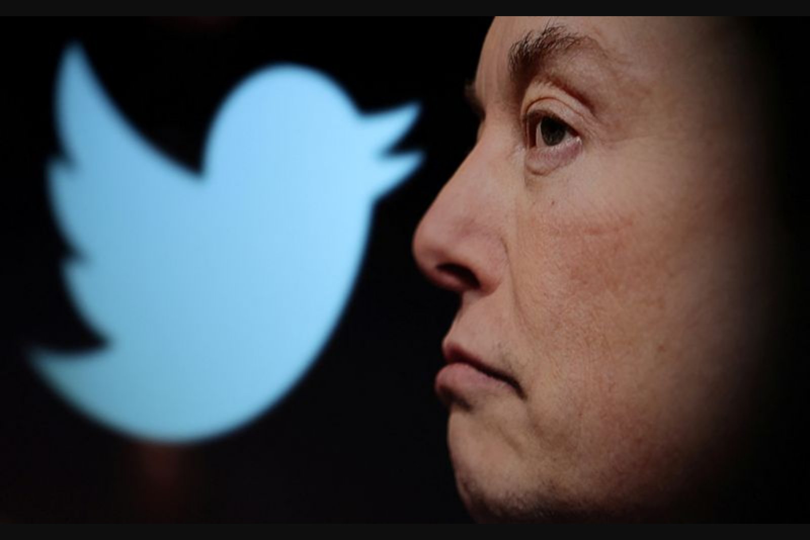 Jury Finds Elon Musk Liable for Defrauding Twitter Shareholders in $44 Billion Takeover Case