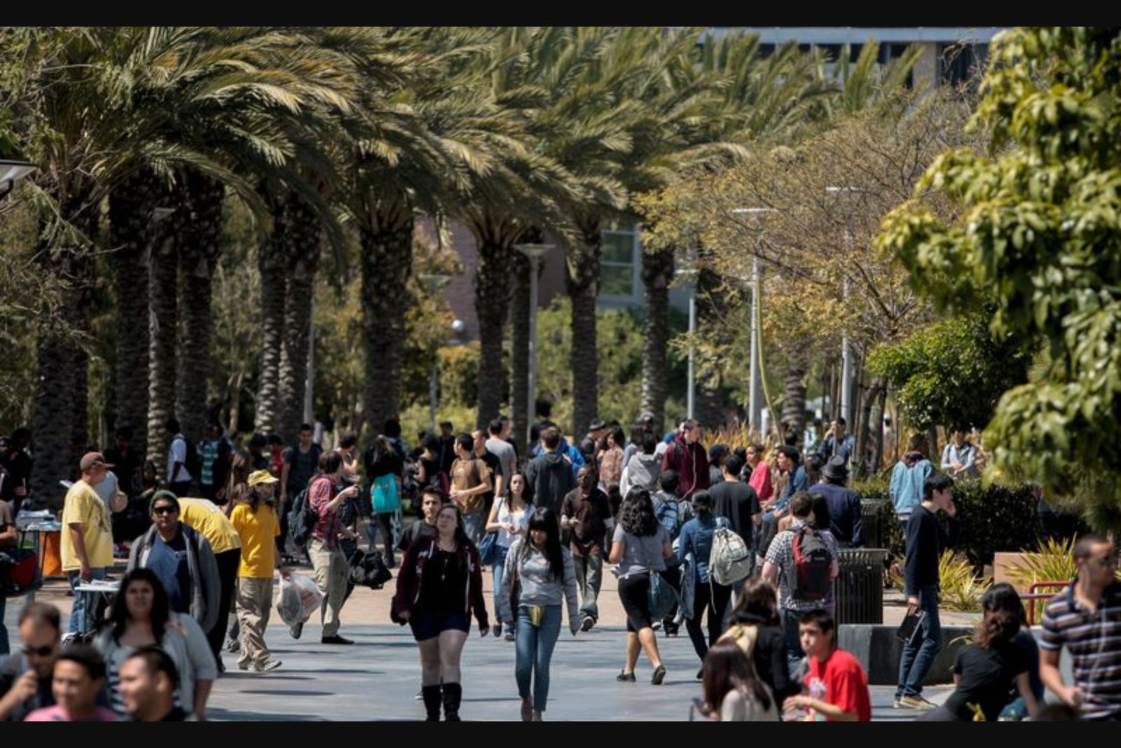 Instructure Issues Formal Apology Following Major Data Breach of Canvas Education Platform