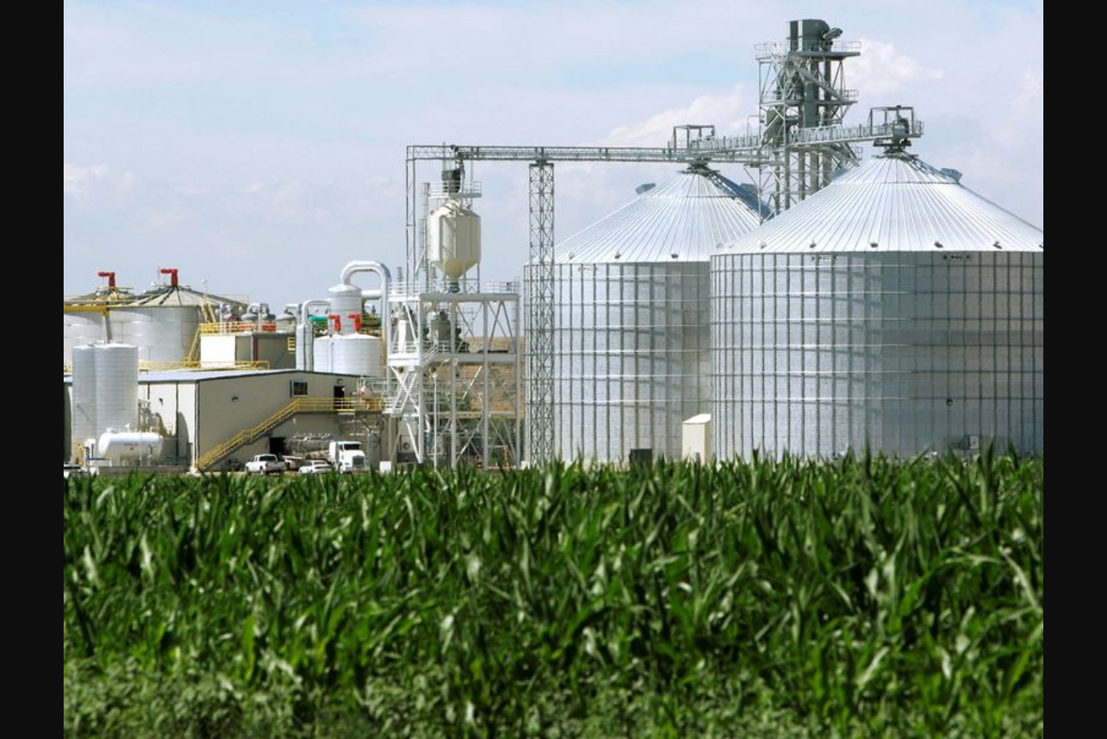 Surge in Oil Prices Reignites Interest in Biofuels Amid Iran Conflict