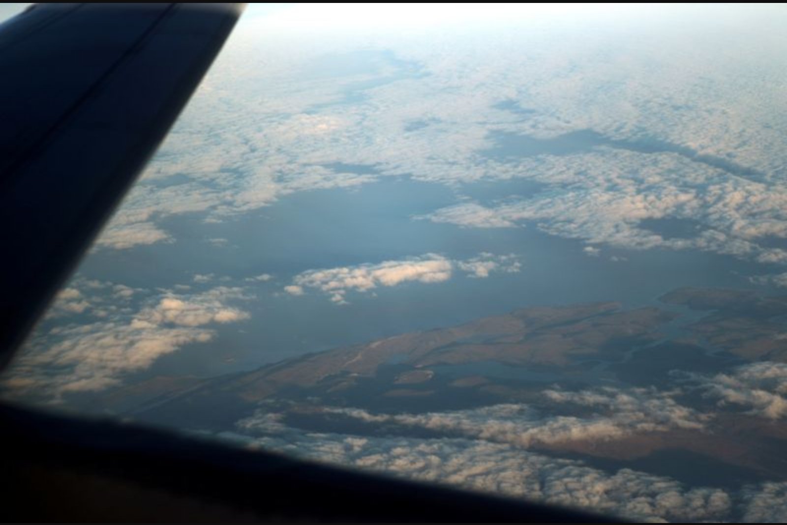 U.S. Review of Falklands Claim Floated as Leverage Against Allies, Document Shows