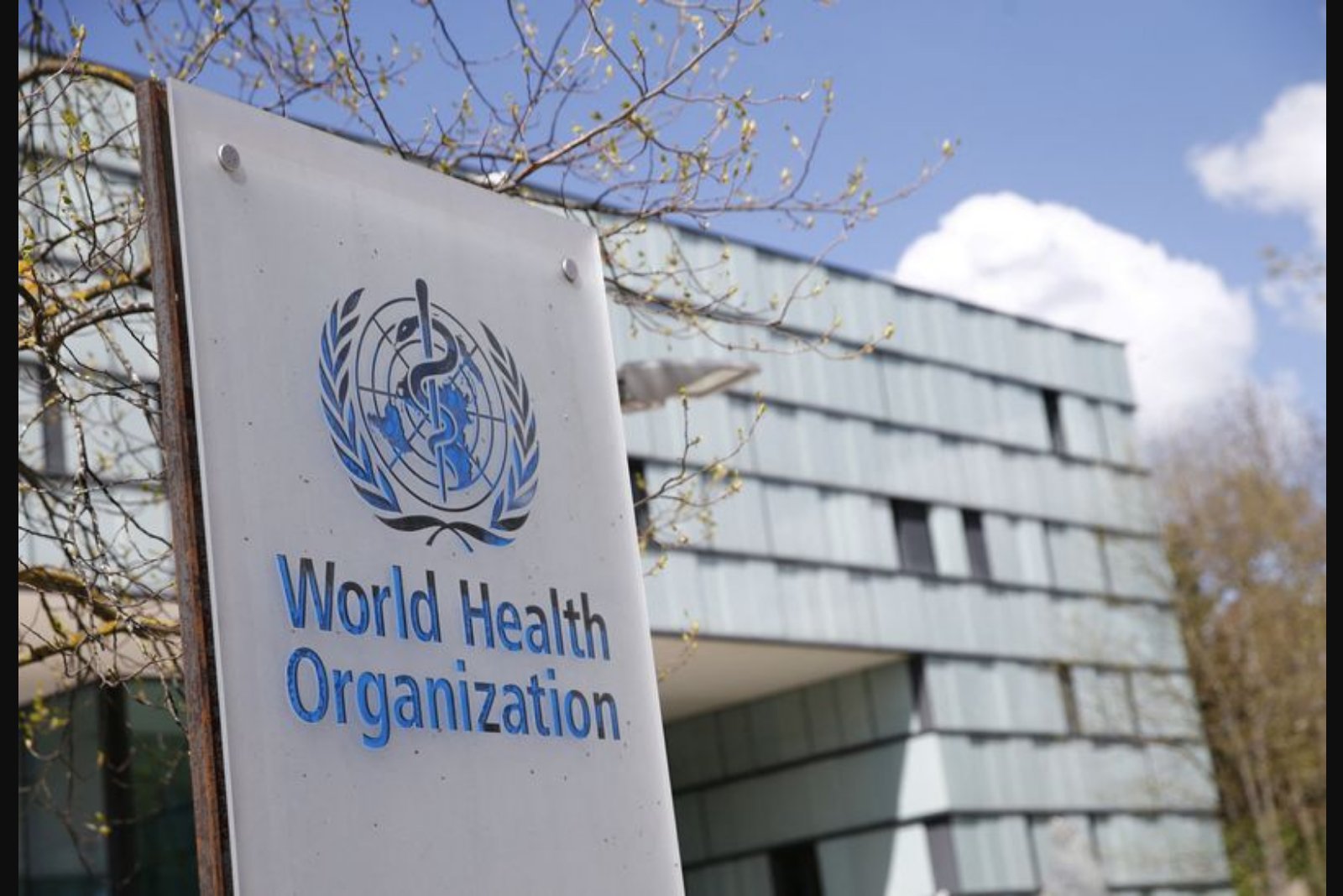 WHO Confirms Dozens of Attacks on Health Infrastructure in Iran, Four Medics Killed